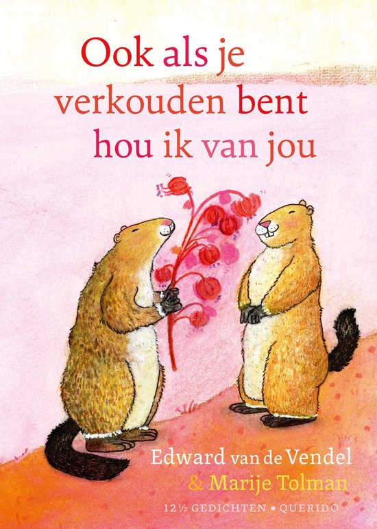 Recensie: Ook als je verkouden bent hou ik van jou - Edward van de Vendel