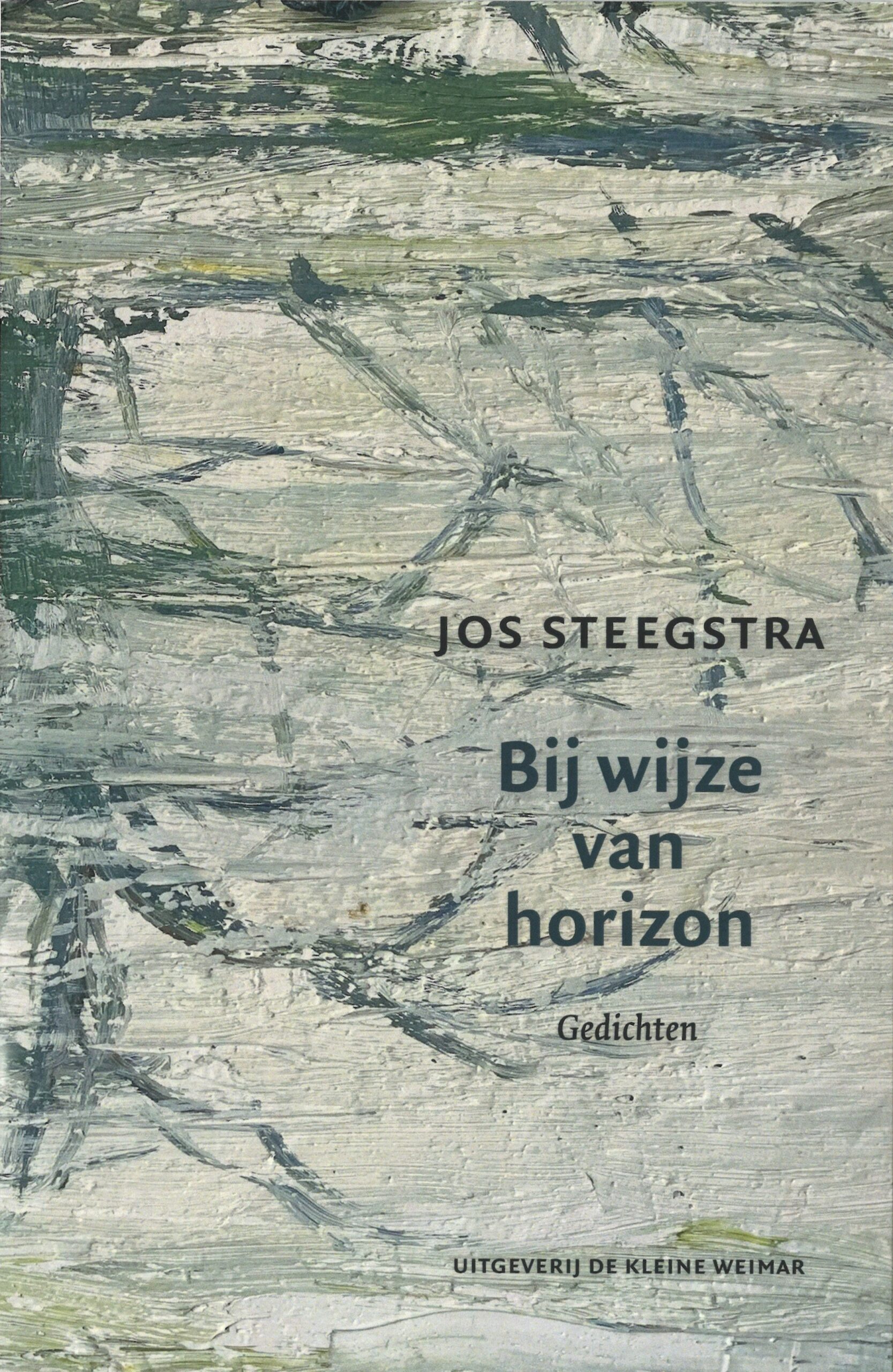 Recensie: Bij wijze van horizon - Jos Steegstra